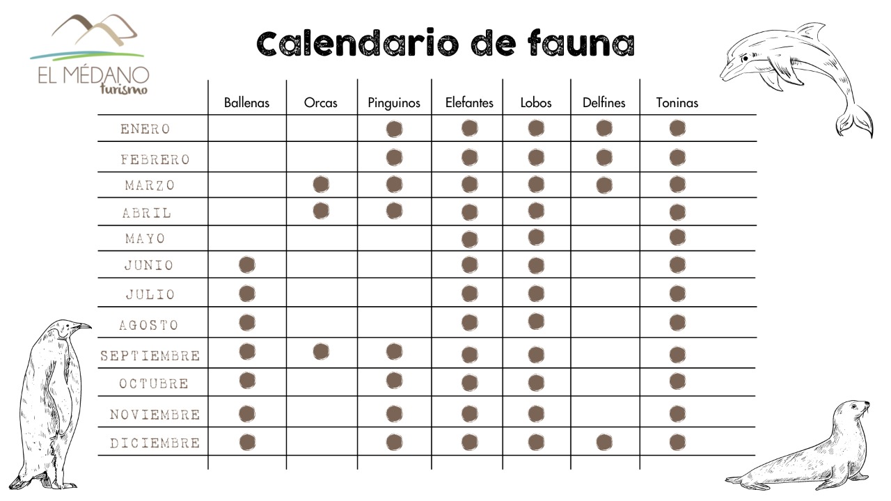 Calendario de Fauna
